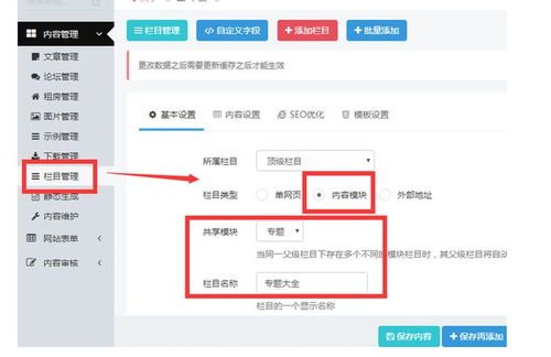徐大大seo 独立站如何进行cms系统升级